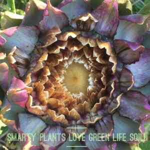 smarty plants