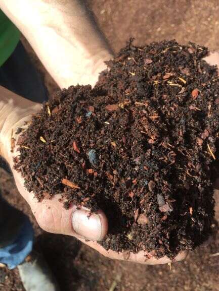 soil in hands