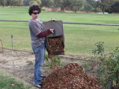 use leaves as mulch