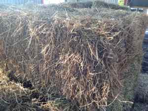 lucerne bale