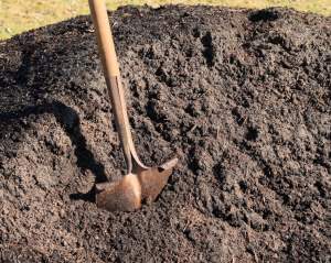 Horticultural Compost Bulk